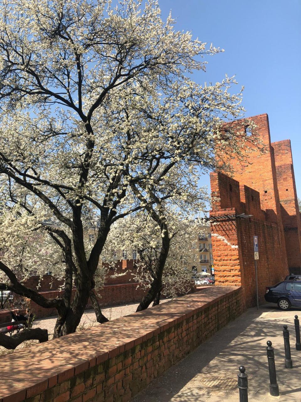 Designers Apartment In The Old Town Варшава Екстериор снимка